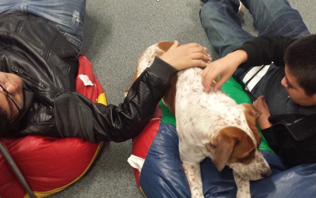 Canine-Assisted Therapy Boys with Dog